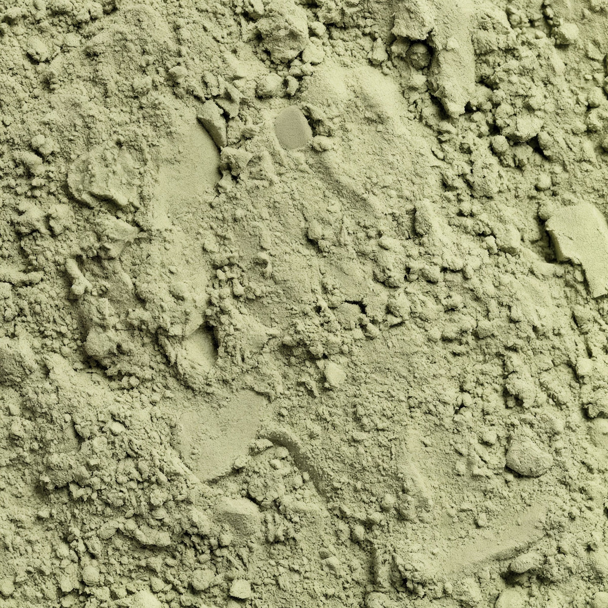 Greens Superfood — Greens + Reds Powder | 30 Servings