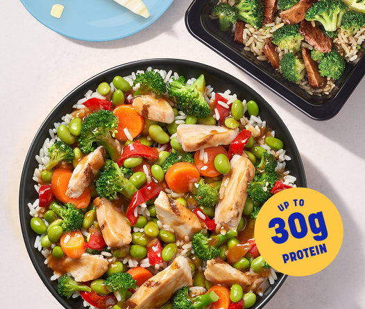 High protein meal plan